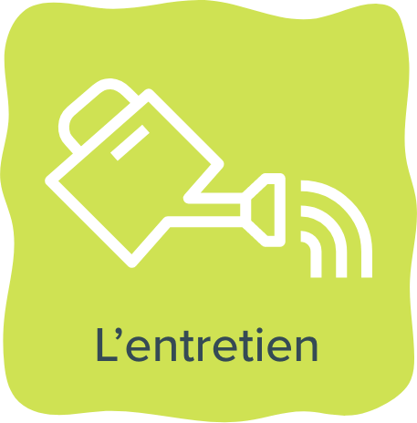 L'entretien